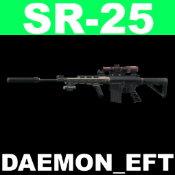 [NEW WIPE] ✅▶SR-25 meta build✅ 0